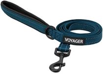 Voyager Reflective Dog Leash with N