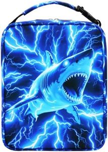FunnyGifts School Kids Lunch Box Boys Lunch Bag