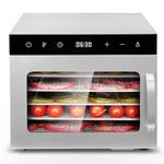 Maharaj Mall Layer Digital Panel Food Dehydrator Efficient Dehydration for Preserving Foods (500 Watt (6Trays))