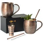 SKY FISH Moscow Mule Mugs, 3D Embossed Cocktail Glasses Set of 2, 500ml Stainless Steel Wine Cups, Drinking Gifts for Him, Handwash, Vintage Copper Finish