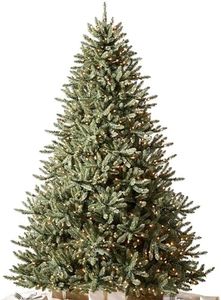Balsam Hil