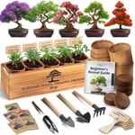 AVERGO Bonsai Tree Kit for Beginner