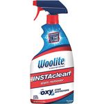 Woolite INSTAclean Stain Remover, 1742