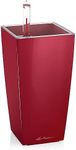 LECHUZA MINI CUBI Self Watering Planter Small Flower Plant Pot Indoor Plastic Planter without Drainage Hole H18 L9 W9 cm Red High-Gloss
