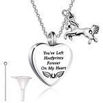 HOLLP Loss of Horse Remembrance Sympathy Gift Cinerary Casket Cremation Pendant Necklace Memorial Keepsake Gifts For Horse Lovers (Necklace)