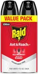 Raid Ant & Roach Killer 26, Fragran