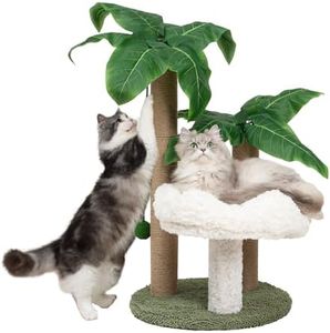 Cat Scratc