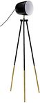 Amazon Brand - Stone & Beam Grasmere Floor Lamp, Black