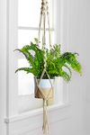 ecofynd Macrame Plant Hanger, Cotton Rope Flower Pot Holder for Indoor Outdoor Balcony Garden Wall, Boho Home Decor Basket Hanger, Ivory, 39 inches, Pack of 1