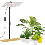 FANHAO Grow Light with Stand, Full Spectrum LED Plant Light for Indoor Plants, Height Adjustable Floor Grow Lamp with 3H/9H/12H Timer, 3 Modes, 10 Dimmable Brightness for Various Plants Growth