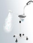 Professional Facial Steamer by Kingsteam - 2 in1 Face Steamer with 5X Magnifying Light Arm, Ozone Facial Steamer on Wheels, Nano Water Mist, High Volume Steam for Baber, Salon and Home Use, White
