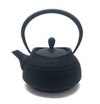 Southern iron teapot brush marks Hakeme 0.4L Black (japan import)