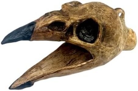 Aztec Deat