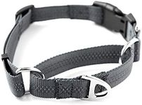 Mighty Paw Martingale Nylon Trainin