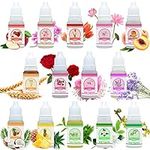 Soap Fragrance Oil - 14 Soap Making Scents Set for Bath Bomb Aroma, Soap Making Supplies - Concentrated Food Grade Liquid Scents for Cosmetic, Art, DIY Handmade Crafts - 10ml Each