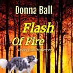 Flash of Fire: Dogleg Island Myster