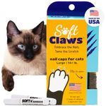 Soft Claws Feline Cat Nail Caps Take-Home Kit,Large,Black