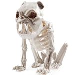 JOYIN Halloween Plastic Dog Skeleton 8 Inches Puppy Skeleton Plastic Dog Bones with Posable Joints for Prop Spooky Scene Party Favors Decoration