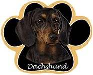 Black Dach