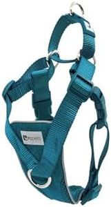 RC Pets Tempo No Pull Dog Harness, Small, Heather Teal