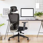 Chair Ergonomic With Lumbar Supports