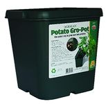 Agralan Potato Gro-Pot | Reuseable Alternative to Potato Bag | Ideal Patio Planter For Growing Potatoes Easily | UK Made From 100% Recycled Plastic | Lightweight & Weather Resistant | Pack of 3 |