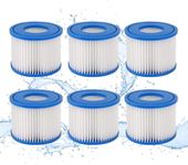 Pack of 6 Filter VI for Pool, Filte