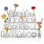 HOXHA Glass Bud Vase Set of 30 Clear Glass Vases for Wedding Table Decorations Centerpieces Small Vintage Flower Vase in Bulk Mini Bottles Vases for Home Party Events, 30 Pack