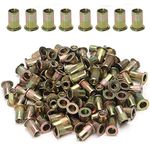 100pcs Carbon Steel Metric M6 Rivet Nuts Threaded Rivet Insert Nutsert Rivnuts Kit M6-1.0mm