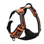 TRUE LOVE Adjustable No-Pull Dog Harness Reflective Pup Vest Harnesses Comfortable Control Brilliant Colors Truelove TLH5651(Orange,M)