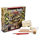 KandyToys Dinosaur Fossils Digging and Excavation Kit | Dig Out Your Own Glow in The Dark Skeleton | History Science Kit | Gift For Kids