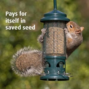 Jacobi Jayne Squirrel Buster Bird Feeder – Squirrel-Proof, Large Capacity