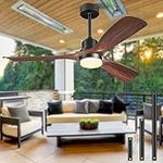 Forrovenco Ceiling Fans with Lights