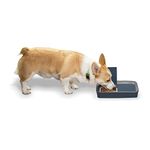 Petsafe Automatic Dog Feeders