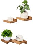 Gieanoo Floating Shelves, Set of 4 Solid Oak Small shelves for wall Square Floating Shelves, Mini Wall Shelf for Small Objects, Hanging Wall Shelf Decoration for Bedroom, Living Room