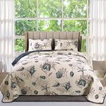 Coastal Quilts Queen Size, 3-Piece Starfish Shell Pattern Queen Beach Themed Bed Spreads, Soft Cotton Coastal Quilt Set with Pillowcases, All Seasons Quilt Bedding Set, 90x98 Inch