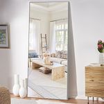 NeuType Full Length Mirror (Silver, 65"x22")