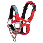 Big Dog Styles Head Collar. Made in UK for Large and Giant Breeds, Maximum Control, Stop Pulling, Anti Chew, Stainless Steel Fittings, Fully Lined (2, Red)