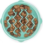 Outward Hound Fun Feeder Slo Bowl -