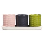 Orla Kiely Ceramic Herb Pots, Pink, Green, Slate, One Size