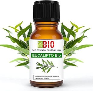 Eucalipto 