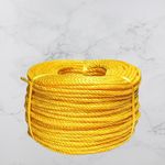 NADEEM'S World PP Twisted Rope, 6 MM Diameter, 30 Meter Length, Multi-Purpose Twine String (6mm, 30metres)