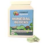 Forest Aquatics 50 x Calcium Mineral Block Food for Shrimp Snails Plecos Crabs Nerites Ramshorns