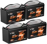 LiTime 2 Pack 12V 100Ah TM Bluetooth Low-Temp Protection LiFePO4 Battery Buit in 100A BMS, Group 31 Lithium Iron Phosphate Battery Perfect for Trolling Motors, Marine, Boat, RVs, Home Energy