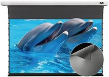 VIVIDSTORM-Projection Screen,Obsidi