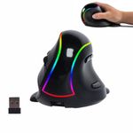 Ergonomic Vertical Mouse, Wireless Vertical Ergo Mouse Rechargeable 2.4G RGB Light Optical Vertical Large Mice 2400 DPI,Removable Palm Rest for Big Hands Laptop, Desktop, PC, MacBook(Black)