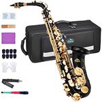 EASTROCK Alto Saxophone for Beginner, E Flat Black Lacquer Alto Saxophone, E Key Sax with Hard Case Mouthpiece Pads Neck Strap Reeds Cleaning Cloth Gloves (Black)