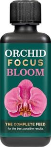 Orchid Foc