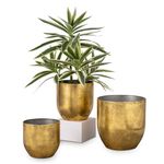 Briful Set of 3 Shabby Gold Galvanized Buckets Multi-Size Rustic Chic Metal Planters for Home Centerpieces Table Decor, Farmhouse Garden Round Metal Pots for Flowers Plant Herb(4 ¾''/5 ½''/6 ¾'')