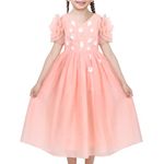 Sunny Fashion Flower Girls Dress Pink Princess Wedding Formal Dance Party Pageant Size 7 Years